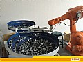 IMG_5222.jpg